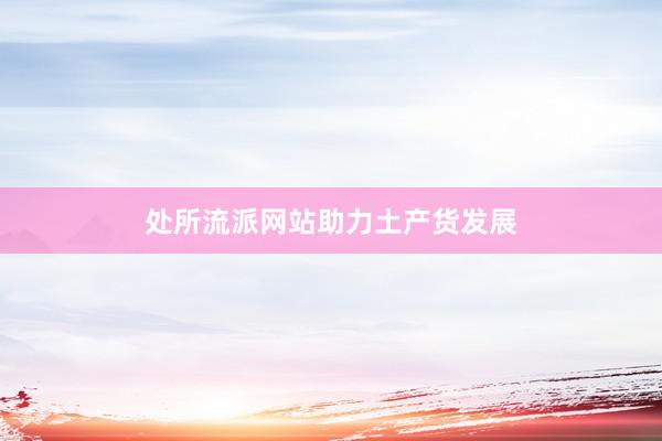 处所流派网站助力土产货发展